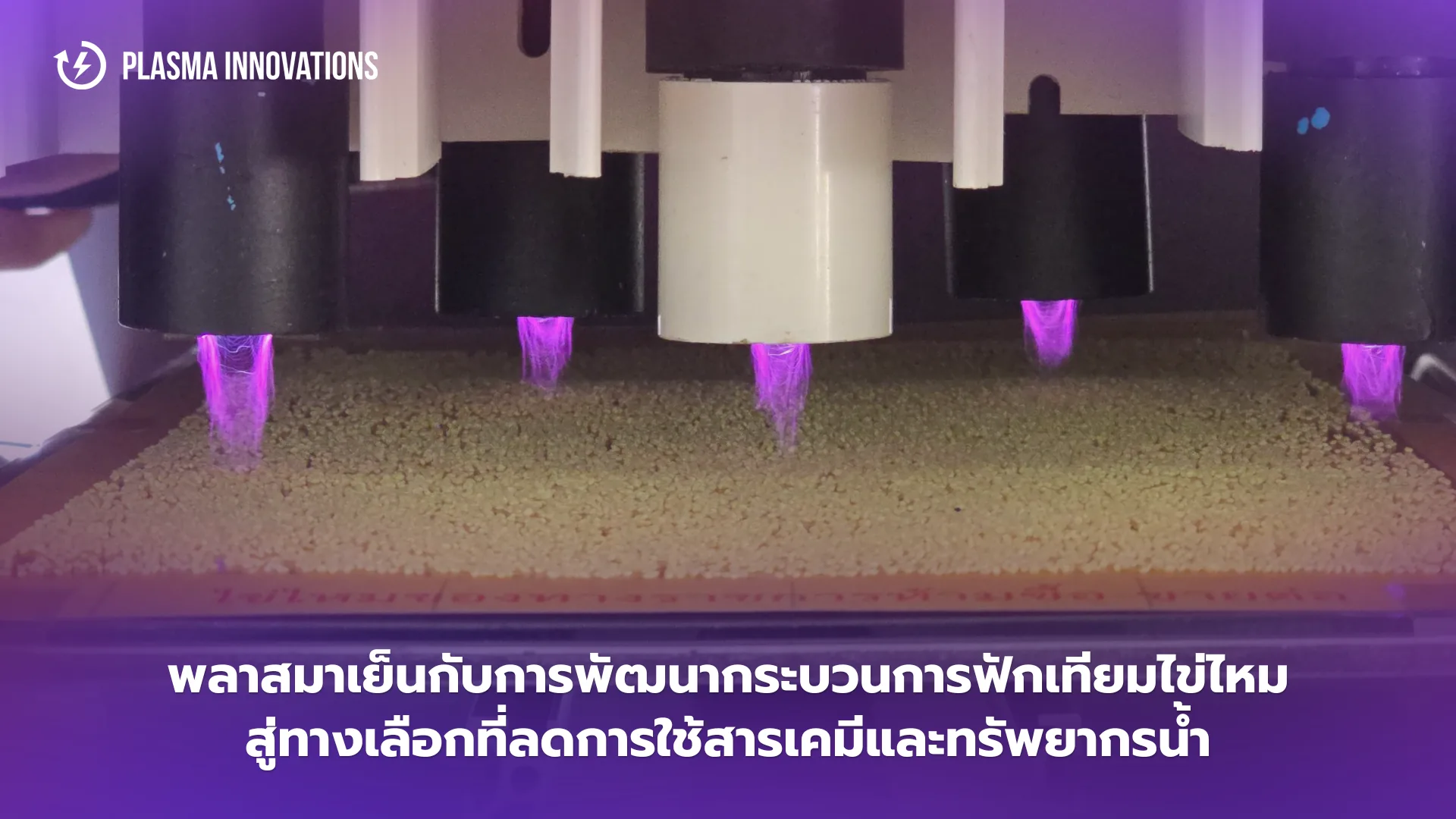 หัวพลาสมาเย็นหลายหัวปล่อยแสงสีม่วงลงบนแผ่นไข่ไหม
